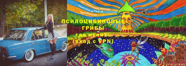 дурь Магас