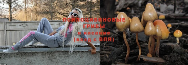 стаф Лабытнанги