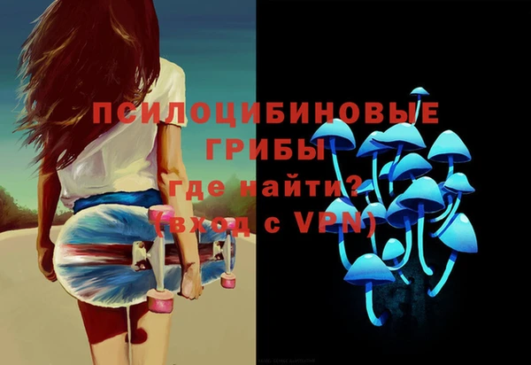 дживик Медногорск