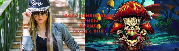 дживик Медногорск