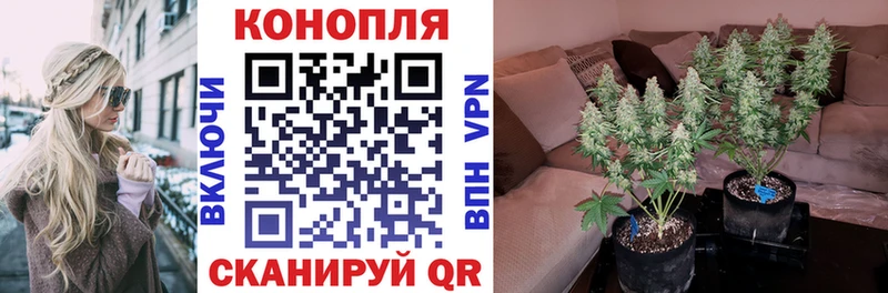 МАРИХУАНА Ganja  Мамадыш 